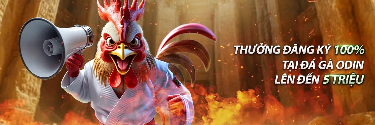 Sân đấu gà kịch tính tại vm88 đăng nhập